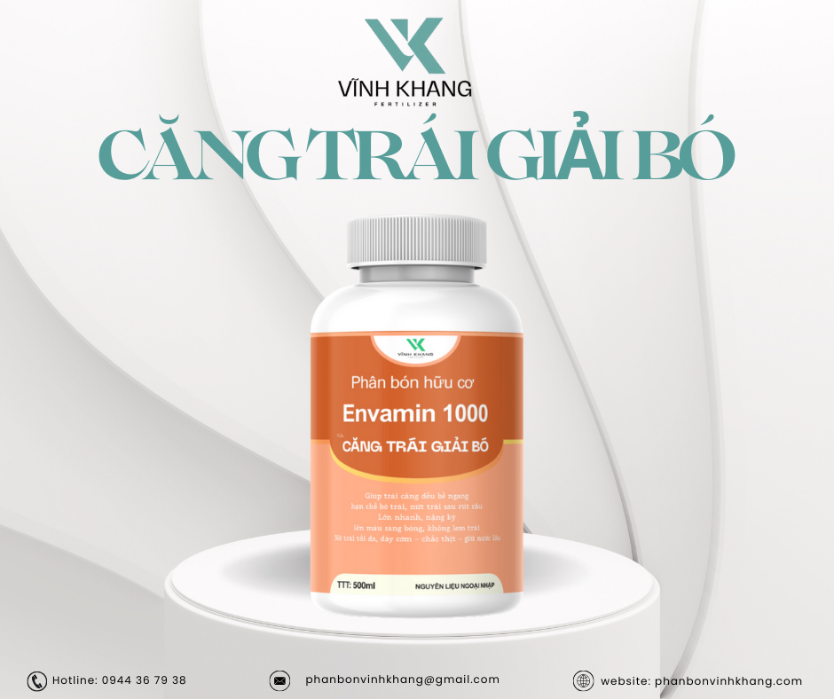 căng trái giải bó