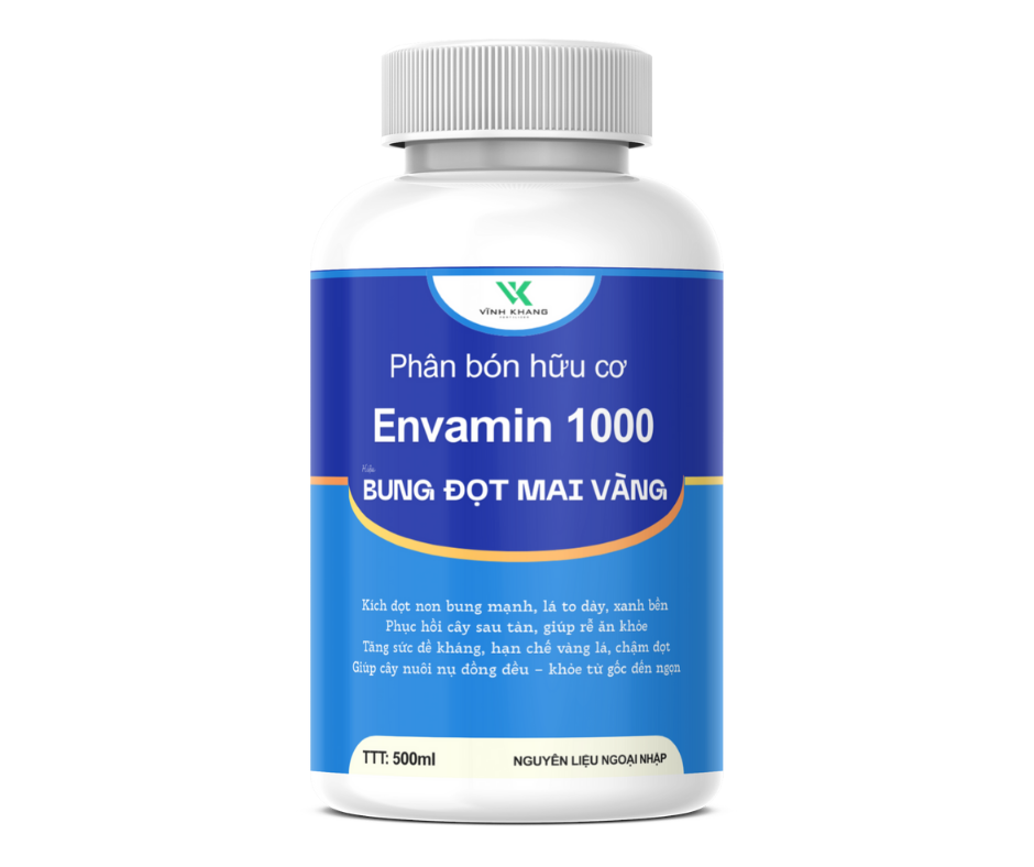 bung đọt mai vàng