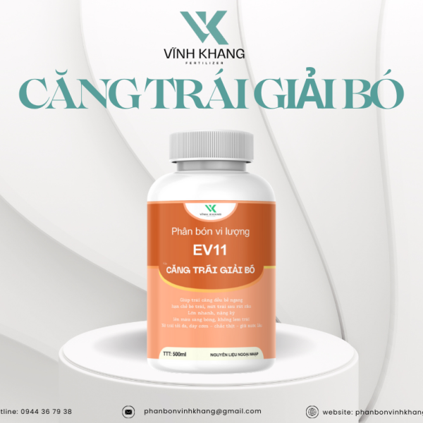 căng trái giải bó