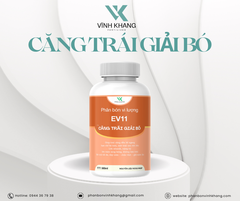 căng trái giải bó