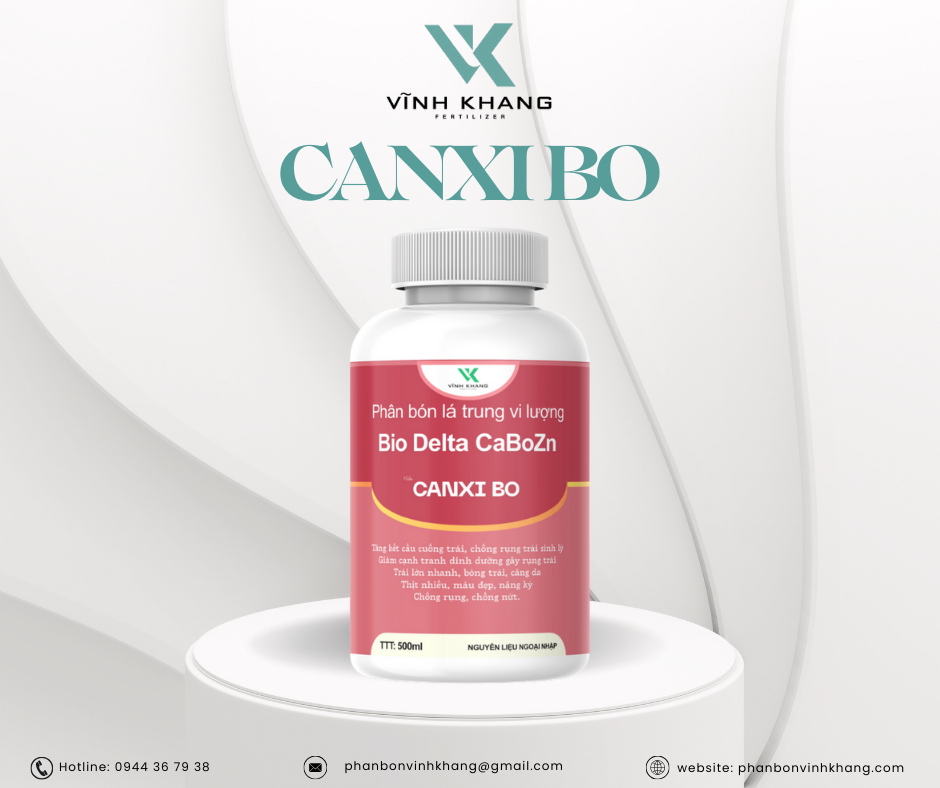 canxi bo