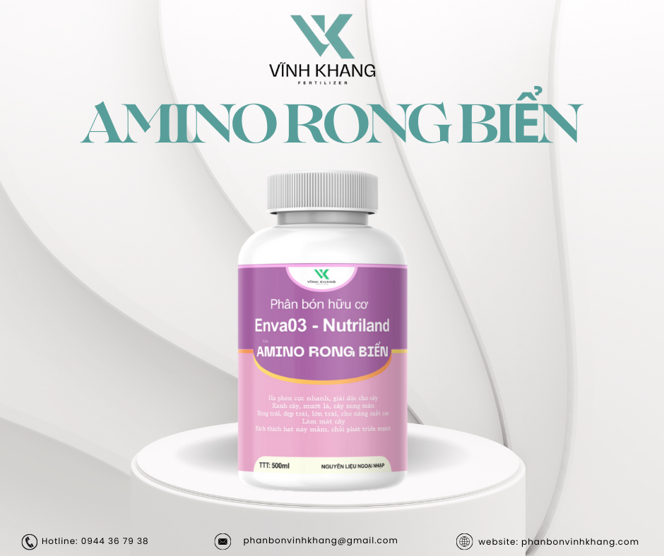 amino rong bien